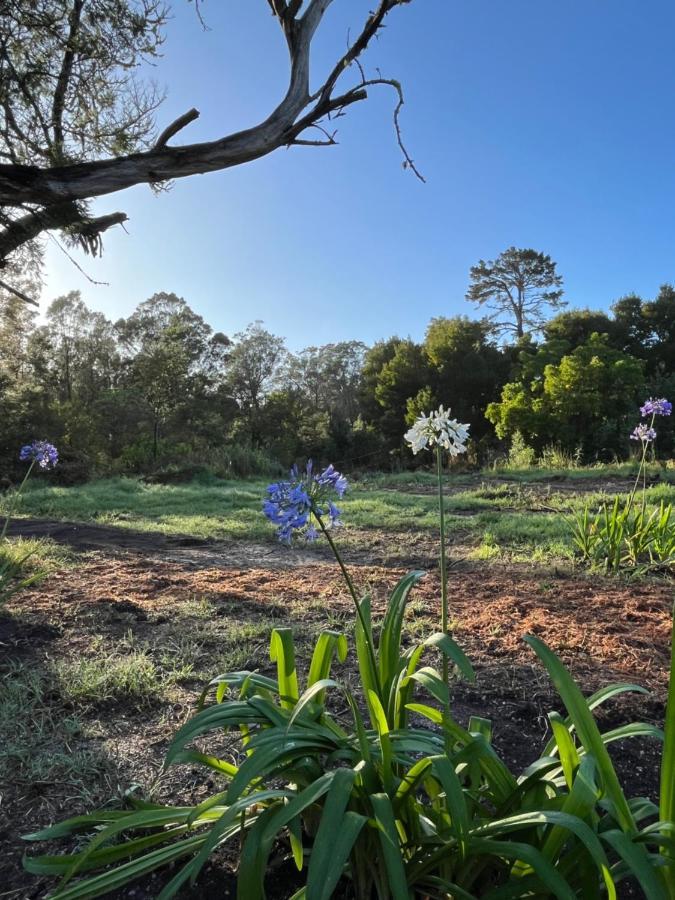 Apartmán Forest Gate Estate Plettenberg Bay Exteriér fotografie