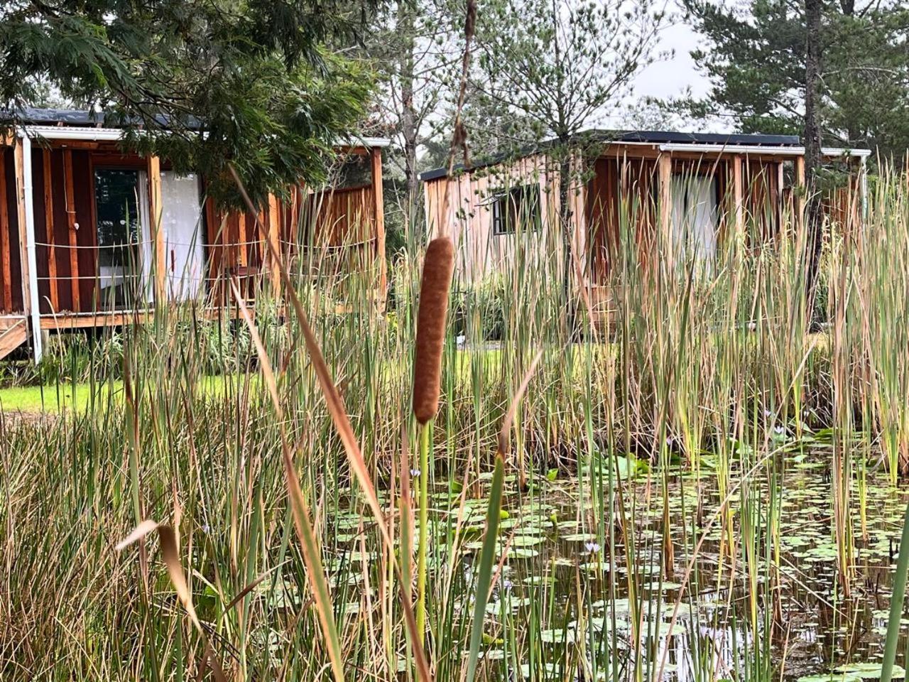 Forest Gate Resort Plettenberg Bay Exteriér fotografie
