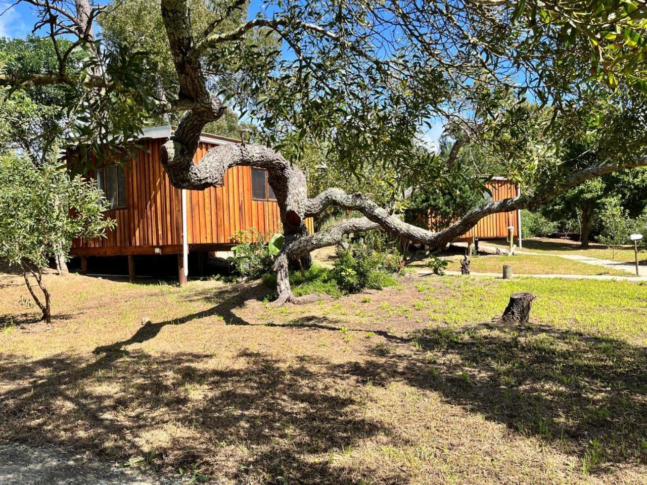 Forest Gate Resort Plettenberg Bay Exteriér fotografie