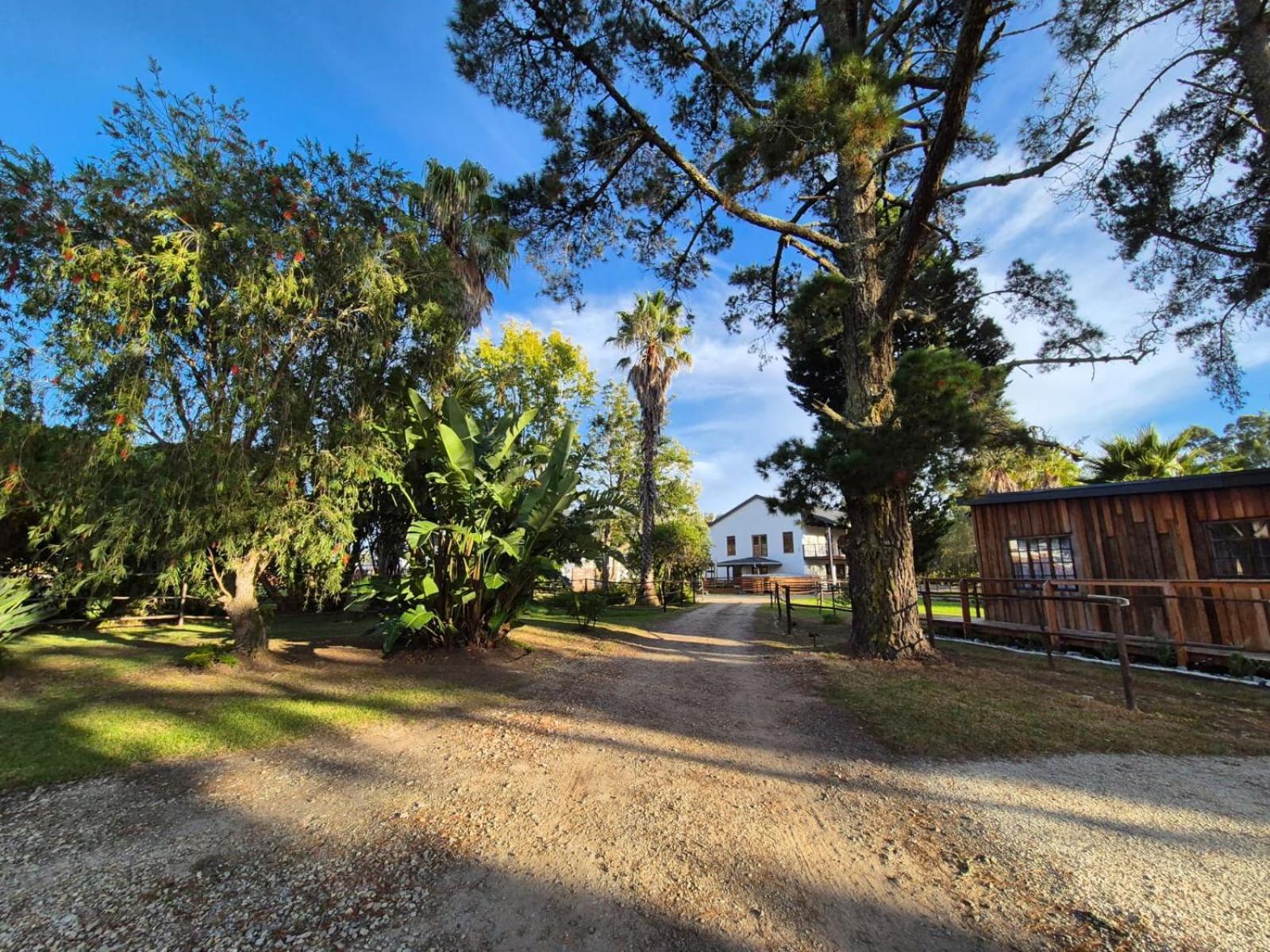 Forest Gate Resort Plettenberg Bay Exteriér fotografie